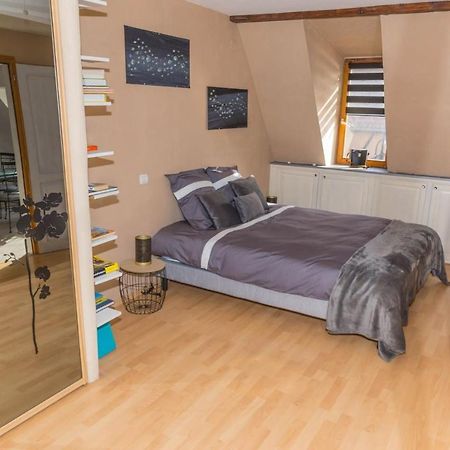 Charmant Appartement Alsacien Рибовиль Экстерьер фото